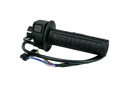 THROTTLE ASSEMBLY